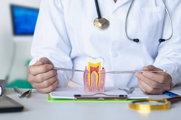 Best Emergency Treatment for Jaw Pain or Injury in Shinglehouse, PA